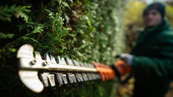 Disponibles 24 horas en caso de urgencias